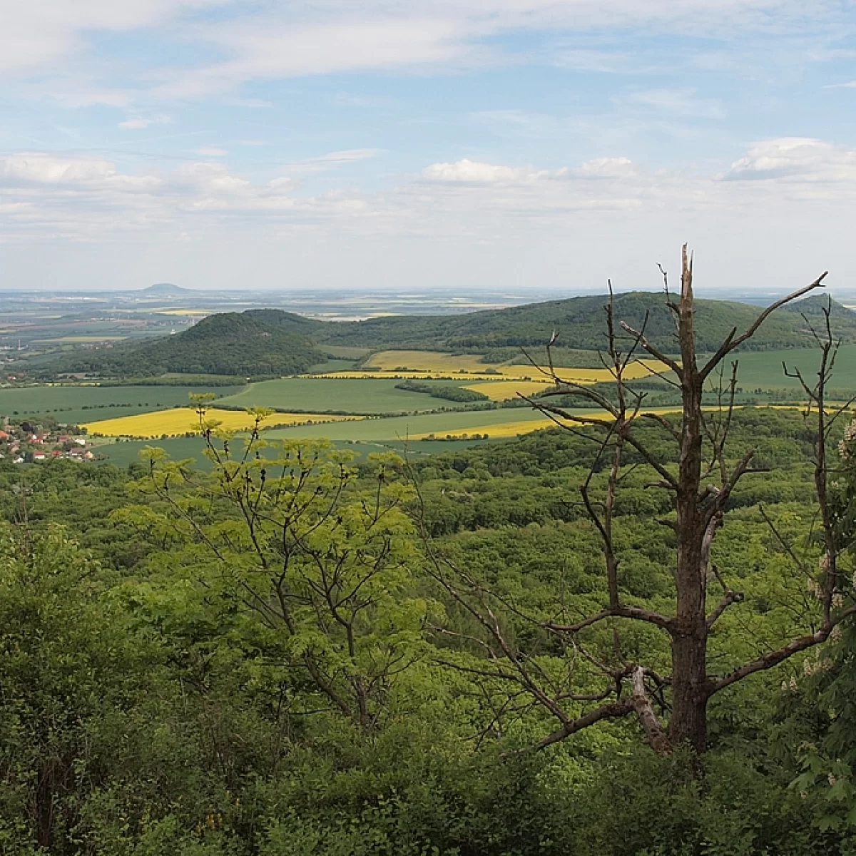 foto - František Matoušek