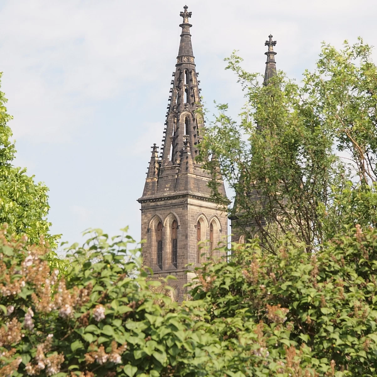 foto. Pořízeno 21.05.2023 18:05 - František Matoušek
