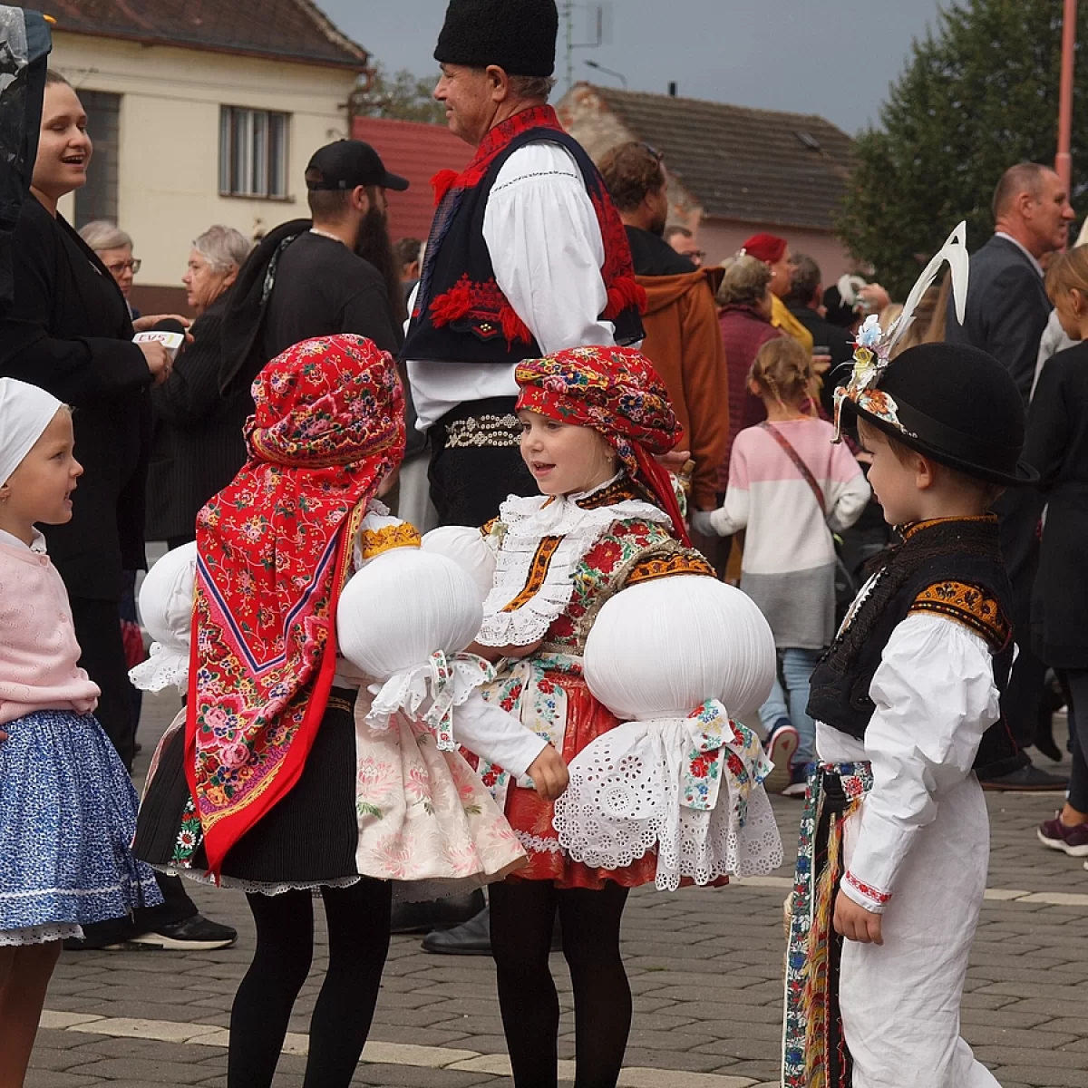 foto. Pořízeno 02.10.2023 17:10 - František Matoušek